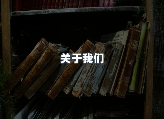 关于我们